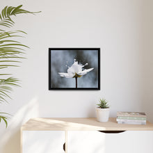 Load image into Gallery viewer, White Petals Flower Matte Canvas, Black Frame
