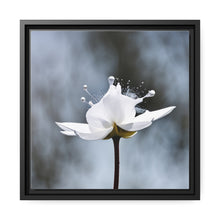 Load image into Gallery viewer, White Petals Flower Matte Canvas, Black Frame