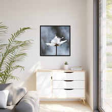 Load image into Gallery viewer, White Petals Flower Matte Canvas, Black Frame