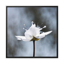 Load image into Gallery viewer, White Petals Flower Matte Canvas, Black Frame