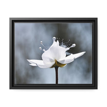 Load image into Gallery viewer, White Petals Flower Matte Canvas, Black Frame