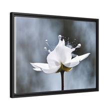 Load image into Gallery viewer, White Petals Flower Matte Canvas, Black Frame