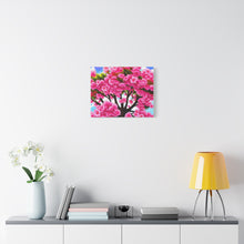 Load image into Gallery viewer, Pink Tree Canvas, Stretched, 1.25"