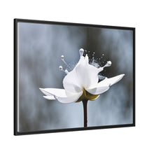 Load image into Gallery viewer, White Petals Flower Matte Canvas, Black Frame