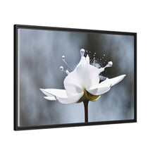 Load image into Gallery viewer, White Petals Flower Matte Canvas, Black Frame