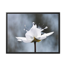 Load image into Gallery viewer, White Petals Flower Matte Canvas, Black Frame