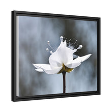 Load image into Gallery viewer, White Petals Flower Matte Canvas, Black Frame