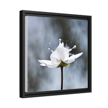 Load image into Gallery viewer, White Petals Flower Matte Canvas, Black Frame