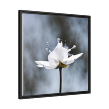 Load image into Gallery viewer, White Petals Flower Matte Canvas, Black Frame