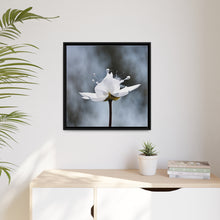 Load image into Gallery viewer, White Petals Flower Matte Canvas, Black Frame
