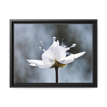 Load image into Gallery viewer, White Petals Flower Matte Canvas, Black Frame
