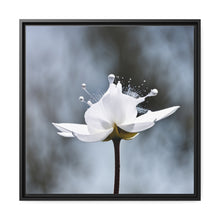 Load image into Gallery viewer, White Petals Flower Matte Canvas, Black Frame
