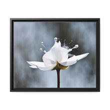 Load image into Gallery viewer, White Petals Flower Matte Canvas, Black Frame
