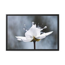 Load image into Gallery viewer, White Petals Flower Matte Canvas, Black Frame
