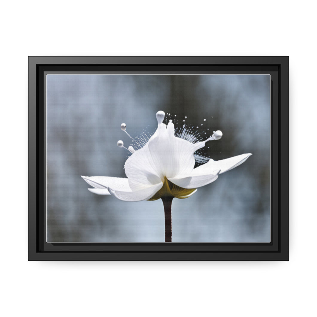 White Petals Flower Matte Canvas, Black Frame